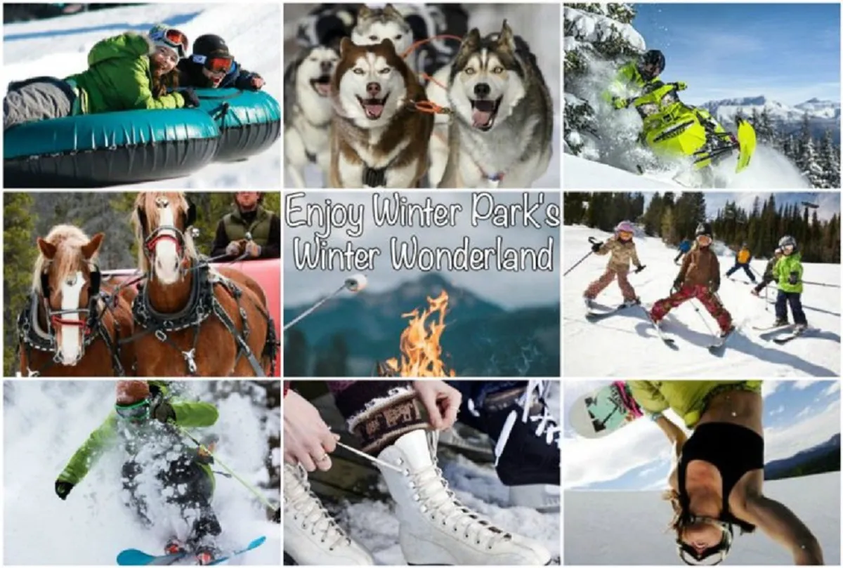 A vibrant scene filled with outdoor winter activity: people tubing down snowy hills, huskies pulling sleds, children playing in the snow, skiers and snowboarders in action, and a cozy fire pit area for après-adventure relaxation. The energetic mood showcases a range of fun group activities.